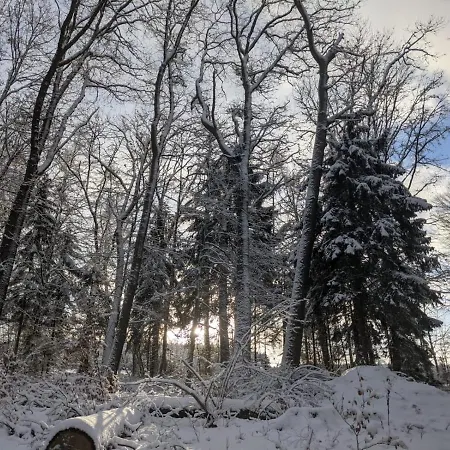 Dom wakacyjny Cosy In Nature Bastogne